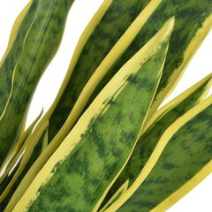Keinotekoinen Sanseviera ruukulla, 90 cm, vihreä hinta ja tiedot | Keinotekoiset kukat | hobbyhall.fi