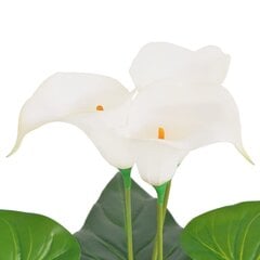 Keinotekoinen Abessinian Calla Lily ruukulla, 85 cm hinta ja tiedot | Keinotekoiset kukat | hobbyhall.fi