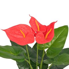 Keinotekoinen anthurium ruukulla, 45 cm, punainen ja keltainen hinta ja tiedot | Keinotekoiset kukat | hobbyhall.fi