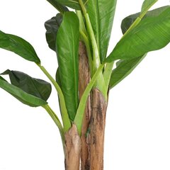 Keinotekoinen banaanipuu, 175 cm hinta ja tiedot | Keinotekoiset kukat | hobbyhall.fi