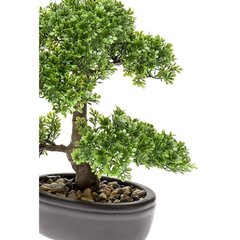 Keinotekoinen ficus Smaragdi, mini bonsai puu, vihreä, 32cm, 420002 hinta ja tiedot | Keinotekoiset kukat | hobbyhall.fi