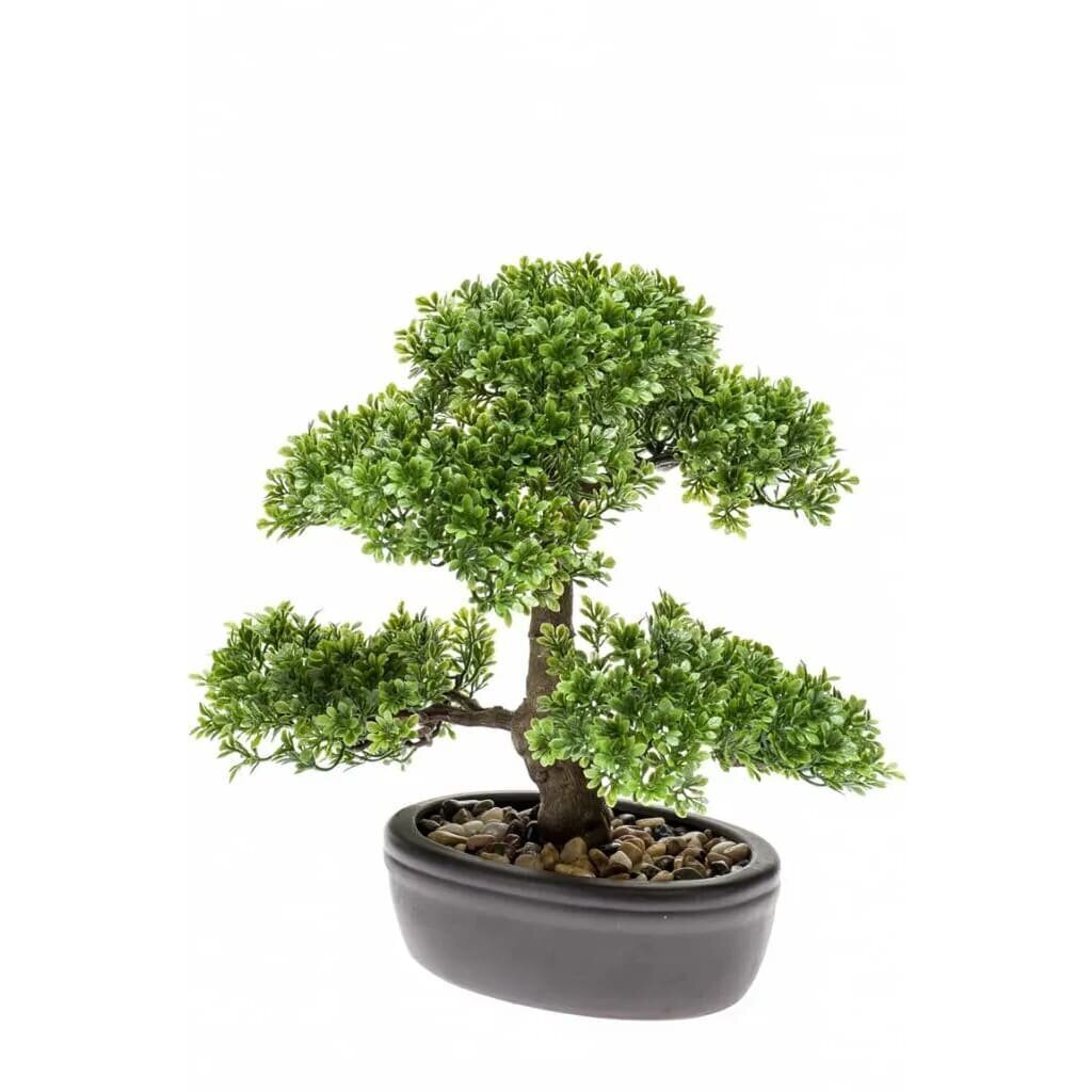 Keinotekoinen ficus Smaragdi, mini bonsai puu, vihreä, 32cm, 420002 hinta ja tiedot | Keinotekoiset kukat | hobbyhall.fi