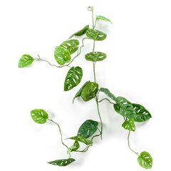 Keinotekoinen monstera-apinaseppele, 120 cm hinta ja tiedot | Keinotekoiset kukat | hobbyhall.fi