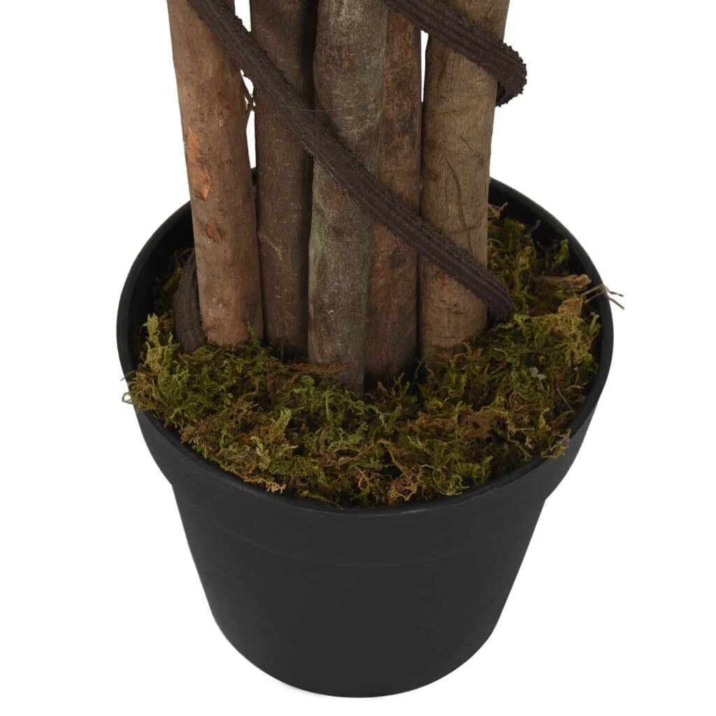 Keinotekoinen lyraleaf ficus hinta ja tiedot | Keinotekoiset kukat | hobbyhall.fi