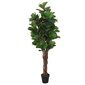 Keinotekoinen lyraleaf ficus hinta ja tiedot | Keinotekoiset kukat | hobbyhall.fi