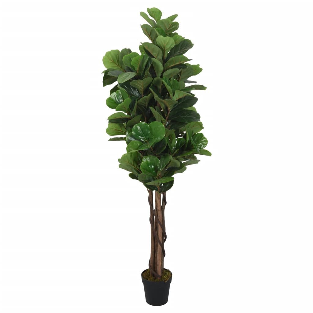 Keinotekoinen lyraleaf ficus hinta ja tiedot | Keinotekoiset kukat | hobbyhall.fi