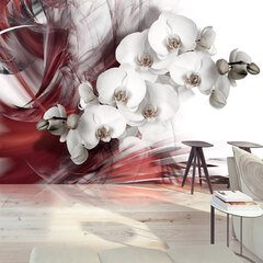 Valokuvatapetti - Orchid in red 400x280 cm hinta ja tiedot | Valokuvatapetit | hobbyhall.fi