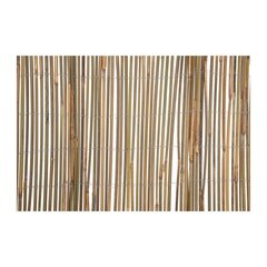 Bambuko tvora 1,5x3m hinta ja tiedot | Aidat ja tarvikkeet | hobbyhall.fi