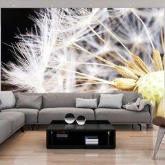 Valokuvatapetti - Fluffy dandelion 300x210 cm hinta ja tiedot | Valokuvatapetit | hobbyhall.fi