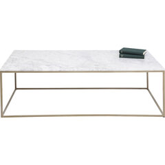 Kahvipöytä West Marble, 120x60cm hinta ja tiedot | Sohvapöydät | hobbyhall.fi