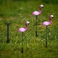 Puutarhalamput aurinkokennoilla Fluxar FLAMINGOS 3kpl hinta ja tiedot | Puutarha- ja ulkovalot | hobbyhall.fi