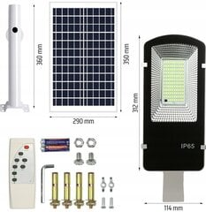 Fluxar LED-ulkovalaisin aurinkopaneelilla ja liiketunnistimella S613 hinta ja tiedot | Puutarha- ja ulkovalot | hobbyhall.fi