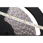 Led-johto 25m rebel (1500x5050 smd) viileän valkoinen, 12v hinta ja tiedot | LED-valonauhat | hobbyhall.fi