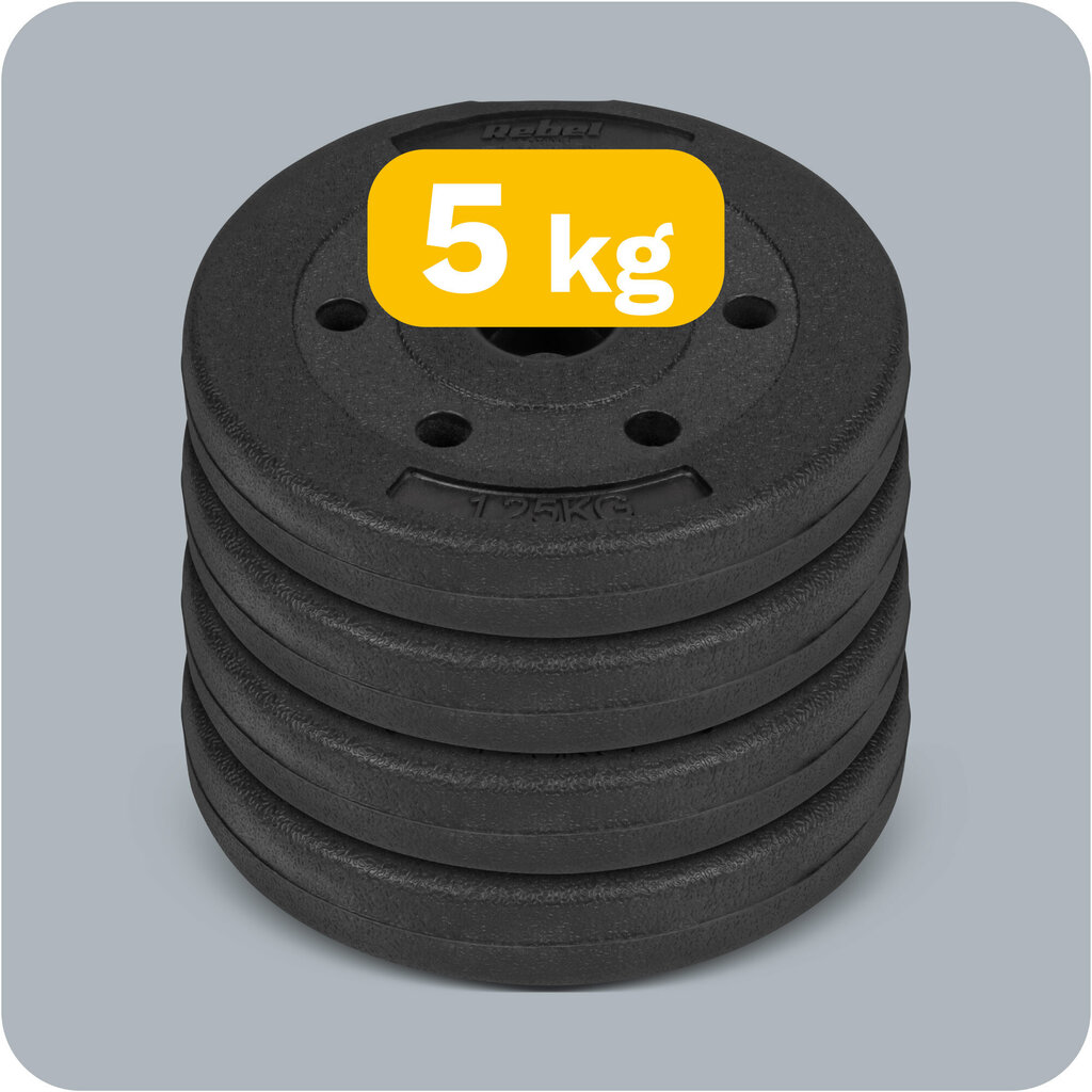 Painosarja 4x1,25 kg, reikä 31 mm. hinta ja tiedot | Käsipainot, kahvakuulat ja voimaharjoittelu | hobbyhall.fi