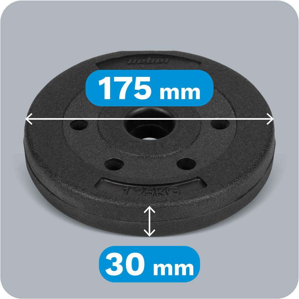 Painosarja 4x1,25 kg, reikä 31 mm. hinta ja tiedot | Käsipainot, kahvakuulat ja voimaharjoittelu | hobbyhall.fi