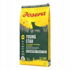 Josera Dog Youngstar Grainfree pennuille, 12,5 kg hinta ja tiedot | Koiran kuivaruoka | hobbyhall.fi