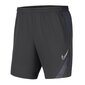 Miesten shortsit Nike Dry Academy Pro M BV6924-066, harmaa hinta ja tiedot | Miesten shortsit | hobbyhall.fi