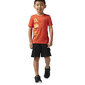 Urheiluasut Reebok B ES hinta ja tiedot | Poikien shortsit | hobbyhall.fi