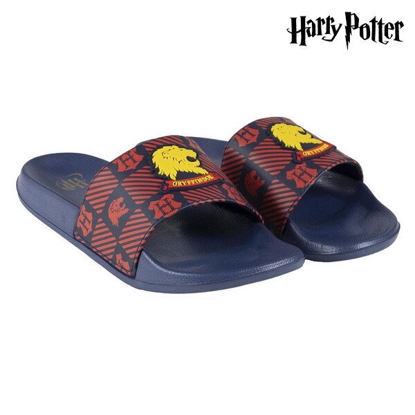 Harry Potter Gryffindorin rantatossut hinta ja tiedot | Lasten rantakengät | hobbyhall.fi