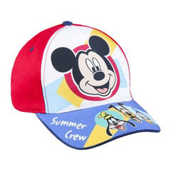 Hattu lapsille, punainen hinta ja tiedot | Mickey Mouse Muoti | hobbyhall.fi