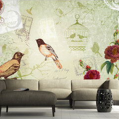 Valokuvatapetti - Vintage birds 100x70 cm hinta ja tiedot | Valokuvatapetit | hobbyhall.fi