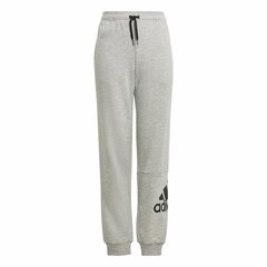 Lasten verkkahousut Adidas Essentials French Terry Harmaa hinta ja tiedot | Poikien housut | hobbyhall.fi