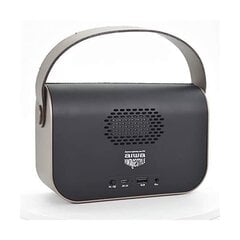 Kannettava radio Aiwa RBTU-600 hinta ja tiedot | Kaiuttimet | hobbyhall.fi