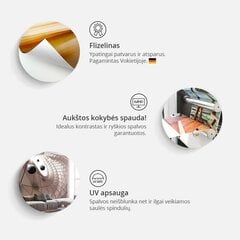 Valokuvatapetti - Fuchsia rhombuses 300x210 cm hinta ja tiedot | Valokuvatapetit | hobbyhall.fi