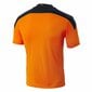 Jalkapallo Puma Valencia CF 2 hinta ja tiedot | Jalkapallovaatteet ja -varusteet | hobbyhall.fi