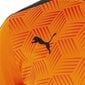 Jalkapallo Puma Valencia CF 2 hinta ja tiedot | Jalkapallovaatteet ja -varusteet | hobbyhall.fi