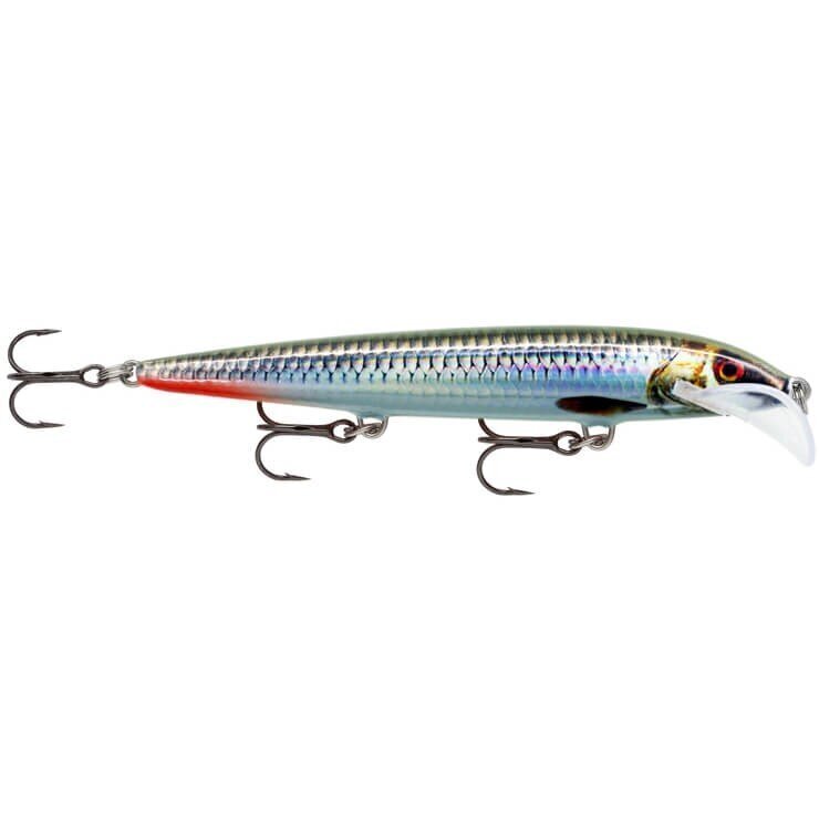 Viehe Shad Rap 7cm/8g/1,5-3,3m ROHL hinta ja tiedot | Vieheet ja uistimet | hobbyhall.fi