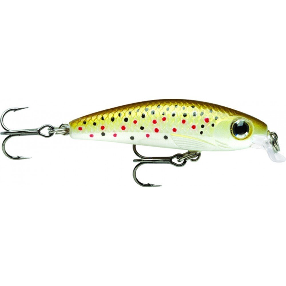 Viehe Ultra Light Minnow 6cm/4g/0,6-0,9m TR hinta ja tiedot | Vieheet ja uistimet | hobbyhall.fi