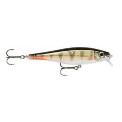 Viehe BX Minnow 10cm/12g/0,9-1,5m RFP hinta ja tiedot | Vieheet ja uistimet | hobbyhall.fi