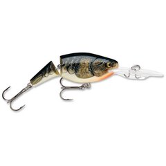 Vieheliitos Shad Rap 4cm/5g/1,2-1,8m CW hinta ja tiedot | Vieheet ja uistimet | hobbyhall.fi