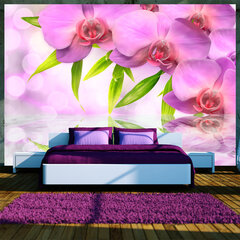 Valokuvatapetti - Orchids in lilac colour 300x210 cm hinta ja tiedot | Valokuvatapetit | hobbyhall.fi