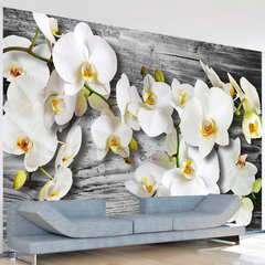 Valokuvatapetti - Callous orchids III 300x210 cm hinta ja tiedot | Valokuvatapetit | hobbyhall.fi