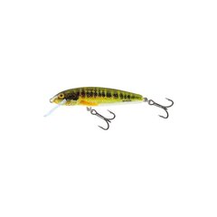 Viehe Minnow 5S 5cm/5g/0,8-1,5m HRM hinta ja tiedot | Vieheet ja uistimet | hobbyhall.fi