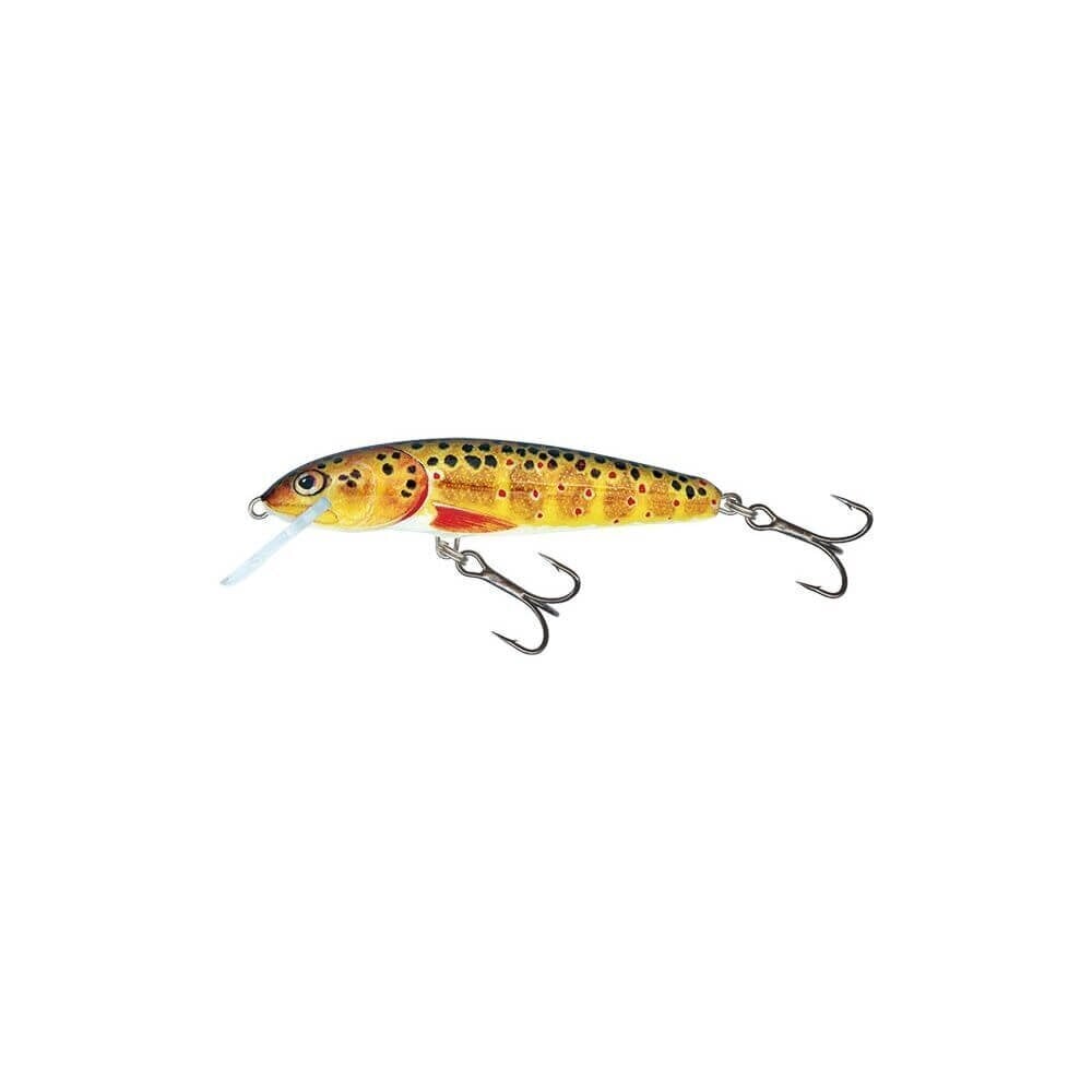 Viehe Minnow 5S 5cm/5g/0,8-1,5m TRO hinta ja tiedot | Vieheet ja uistimet | hobbyhall.fi