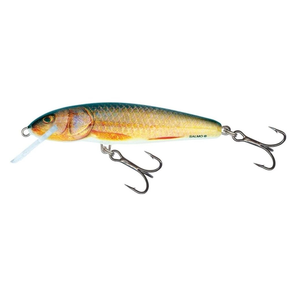 Viehe Minnow 6F 6cm/4g/0,5-1,0m RR hinta ja tiedot | Vieheet ja uistimet | hobbyhall.fi