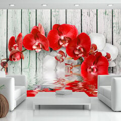 Valokuvatapetti - Ruby orchid 100x70 cm hinta ja tiedot | Valokuvatapetit | hobbyhall.fi