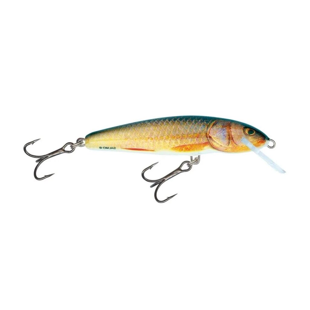 Viehe Minnow 7F 7cm/6g/1,0-1,5m RR hinta ja tiedot | Vieheet ja uistimet | hobbyhall.fi