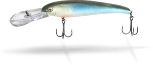 Viehe Quantum Stretch 11.5cm/21g/4.5m Blue Baitfish hinta ja tiedot | Quantum Urheilu ja vapaa-aika | hobbyhall.fi