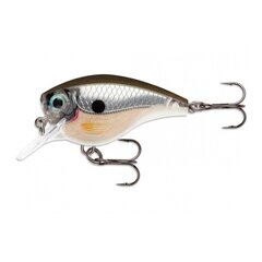 Viehe BX Mid Brat 6cm/13g/1,8m PGS hinta ja tiedot | Vieheet ja uistimet | hobbyhall.fi