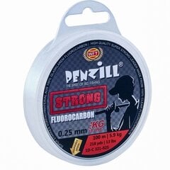 Siima WFT Penzill Fluorocarbon, vahva 100m 5,9kg 0,25mm hinta ja tiedot | Siimat | hobbyhall.fi