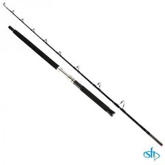 Suolavesivapa SFT Ocean Guide 1,65m 300-1000g 2s 50lbs hinta ja tiedot | Onkivavat | hobbyhall.fi