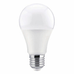 LED-lamppu TM Electron E27 (5000 K) hinta ja tiedot | Lamput | hobbyhall.fi