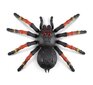 Zuru Robo Alive Trantula iso hinta ja tiedot | Poikien lelut | hobbyhall.fi