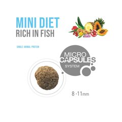 Forza10 Mini Diet pienirotuisille allergisille koirille, kalalla, 1,5 kg hinta ja tiedot | Koiran kuivaruoka | hobbyhall.fi
