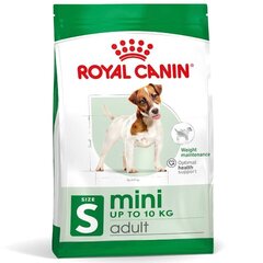 Royal Canin Adult Mini S aikuisille pienirotuisille koirille, 8 kg hinta ja tiedot | Koiran kuivaruoka | hobbyhall.fi