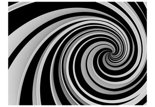 Valokuvatapetti - Black and white swirl 550x270 cm hinta ja tiedot | Valokuvatapetit | hobbyhall.fi